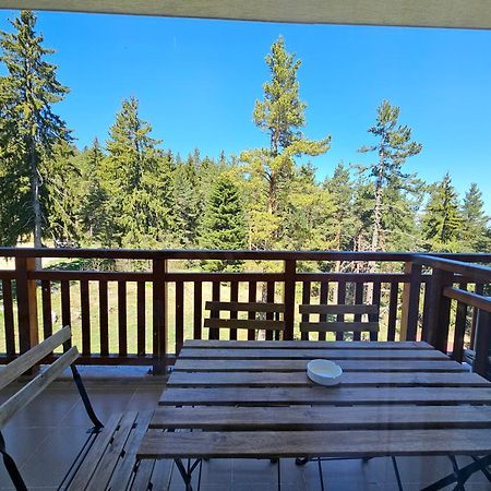 Studios And Apartments - Semiramida Gardens Borovets Luaran gambar