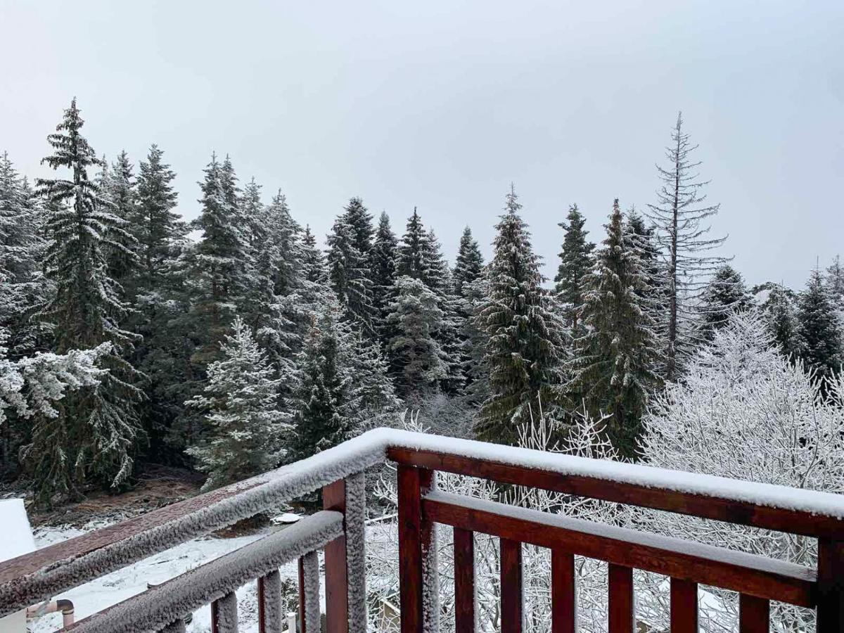 Studios And Apartments - Semiramida Gardens Borovets Luaran gambar